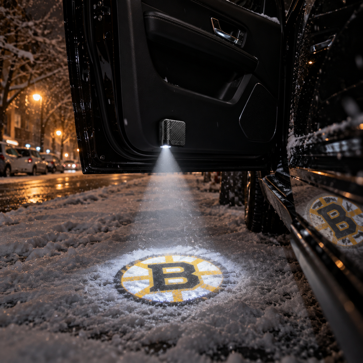 Boston Bruins